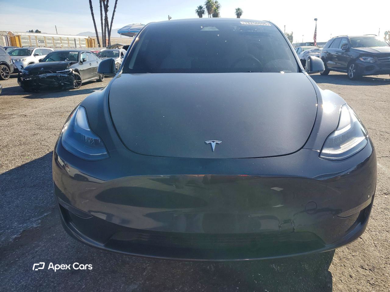 Tesla Model Y 2024