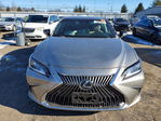 Lexus ES 2020