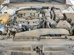 Kia K5 2024