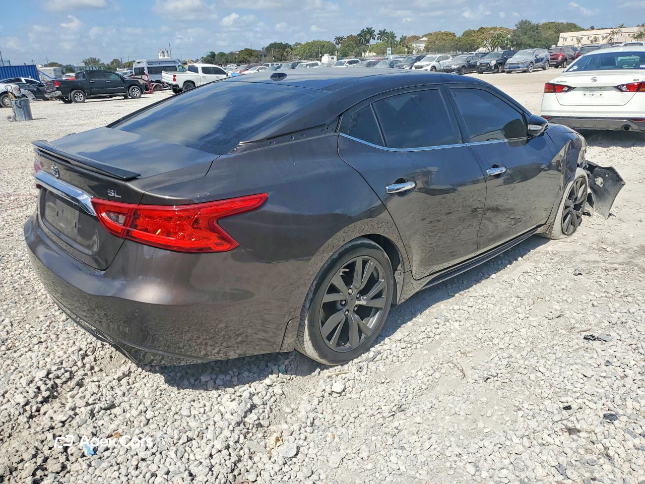 Nissan Maxima 2016