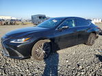 Lexus ES 2022