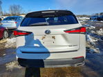 Lexus NX 2020