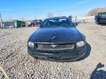 Ford Mustang 2007