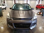 Ford Escape 2016
