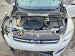 Ford Escape 2016