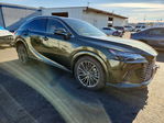 Lexus RX 2025