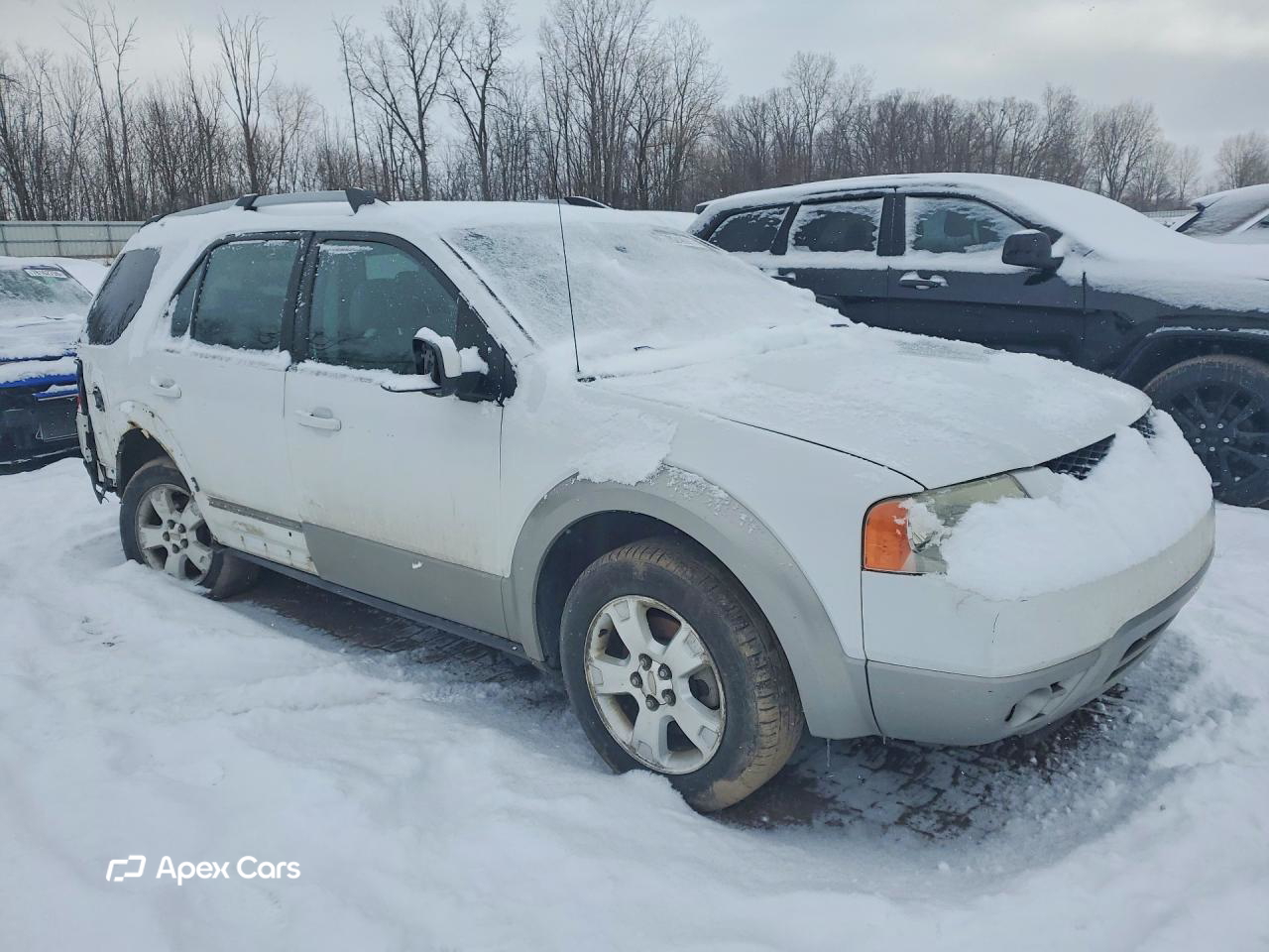 Ford Freestyle 2007