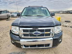 Ford Escape 2012