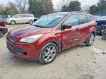 Ford Escape 2014