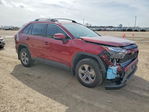 Toyota RAV 4 2025