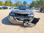 Ford Mustang 2001