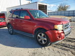 Ford Escape 2012