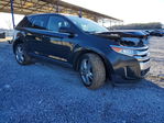 Ford Edge 2013