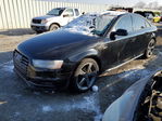 Audi RS4 2015
