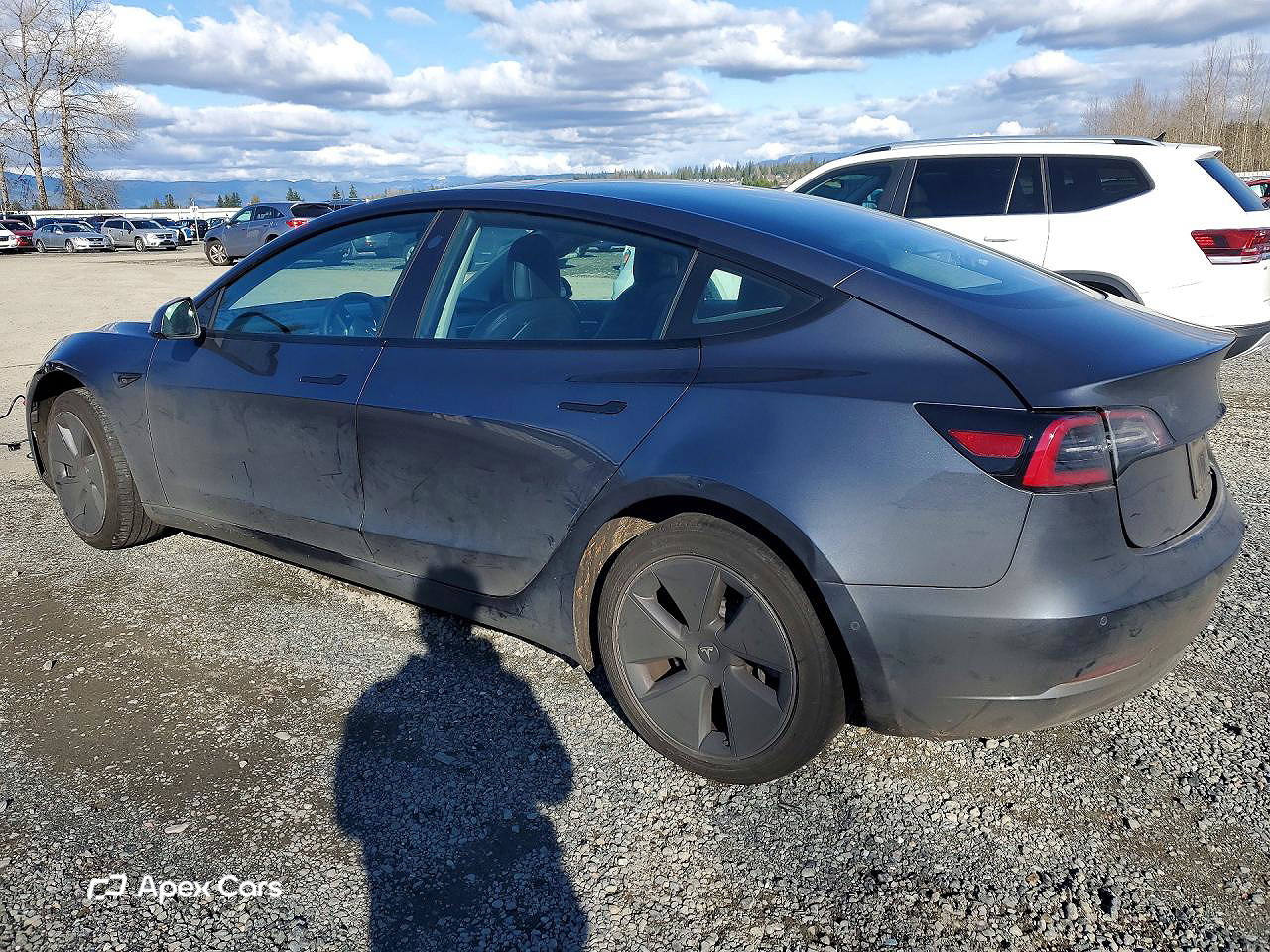 Tesla Model 3 2022