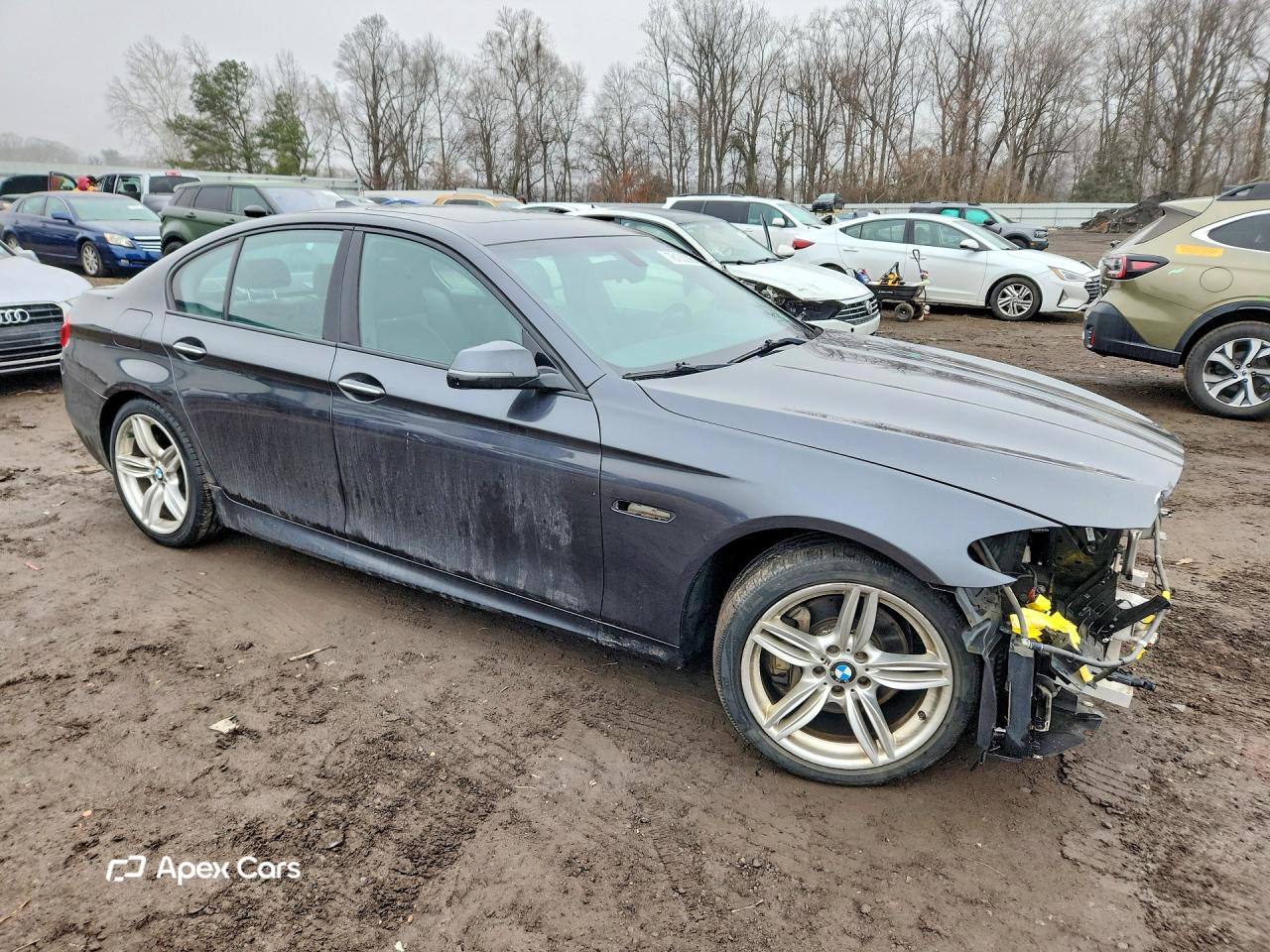 BMW Series 5 2014