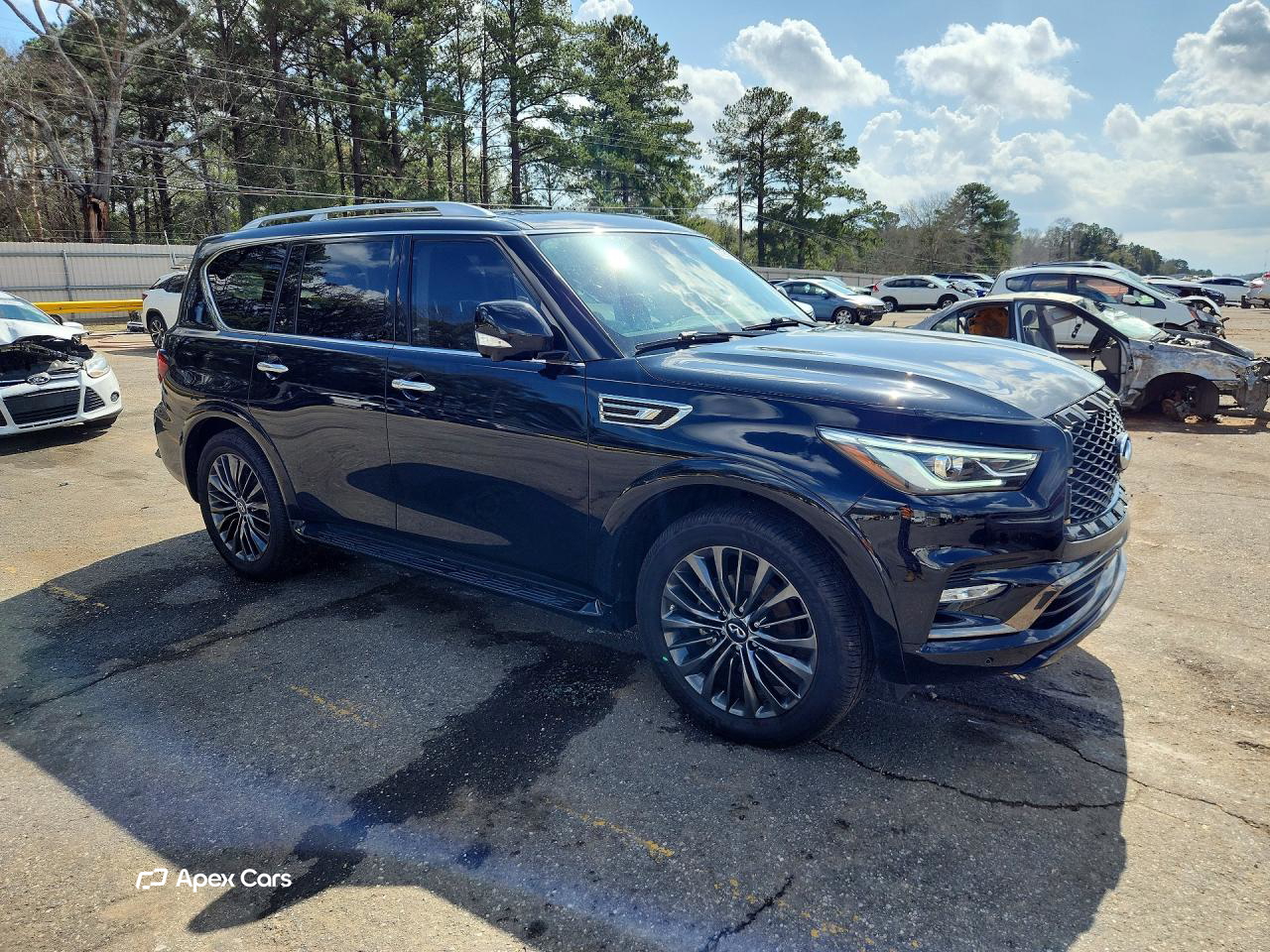 Infiniti QX80 2021