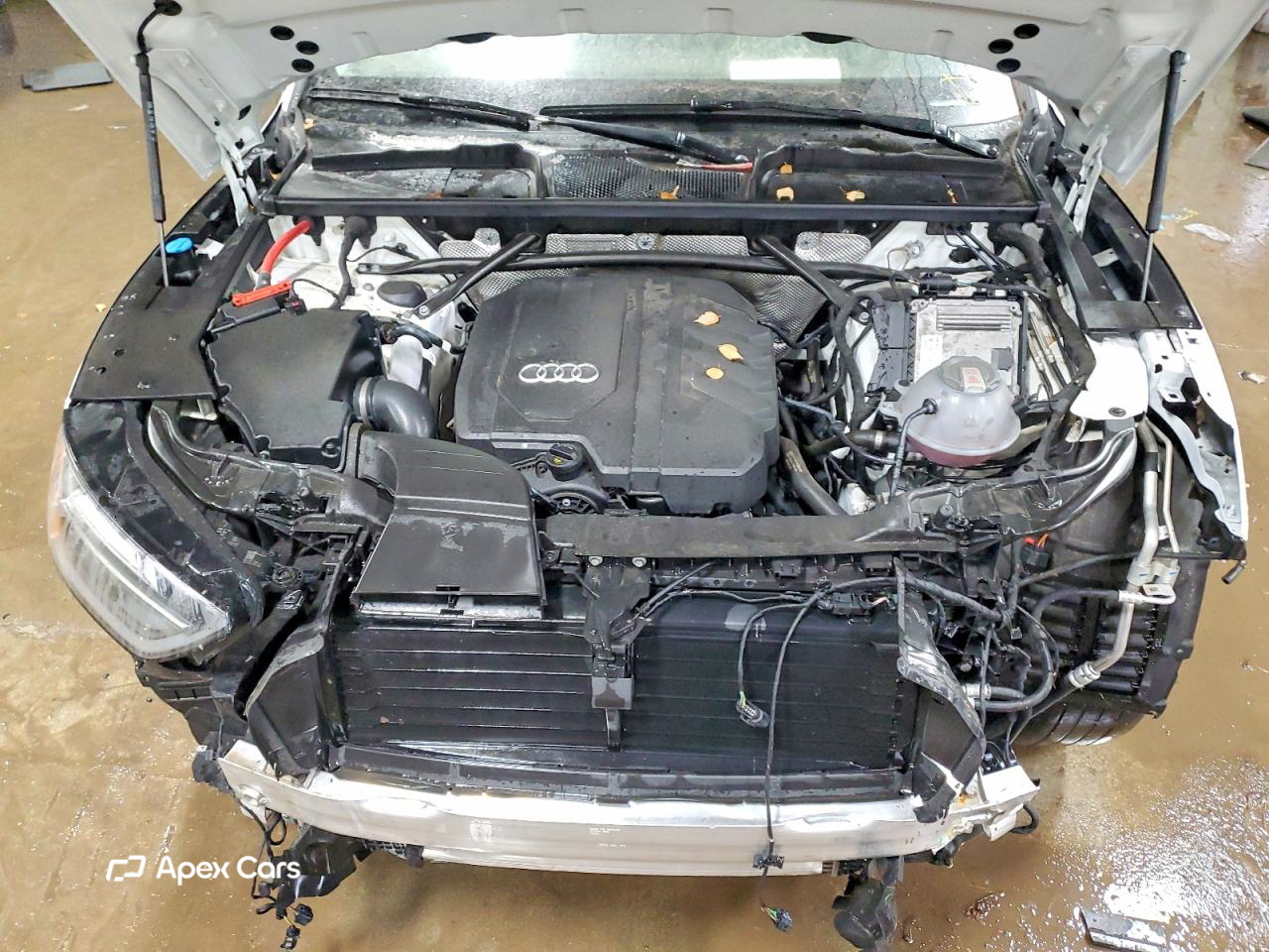 Audi Q5 2024