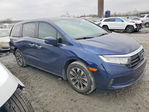 Honda Odyssey 2024