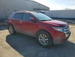 Ford Edge 2013