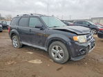Ford Escape 2010