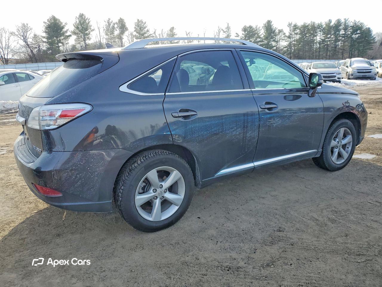 Lexus RX 2010