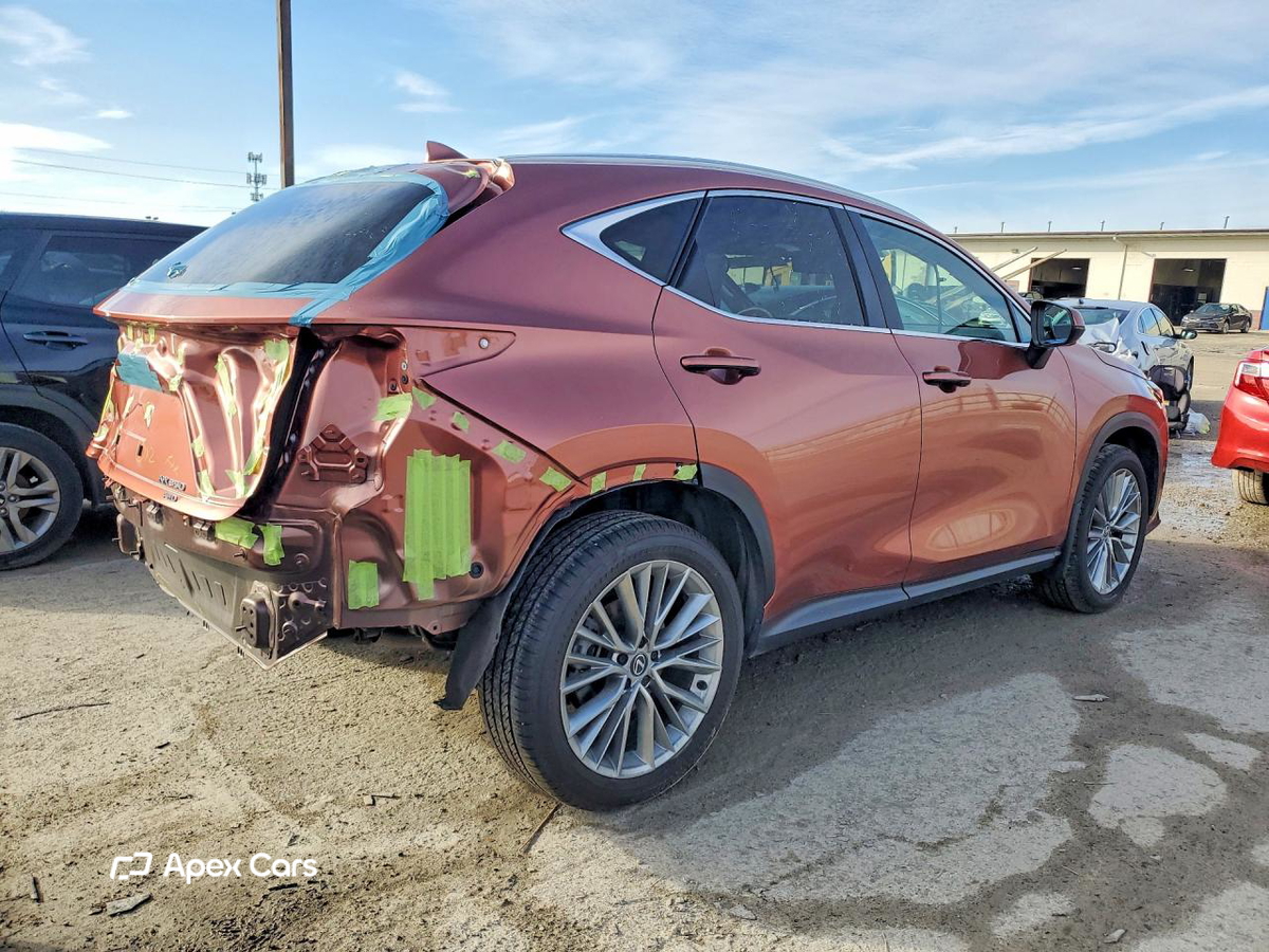 Lexus NX 2025