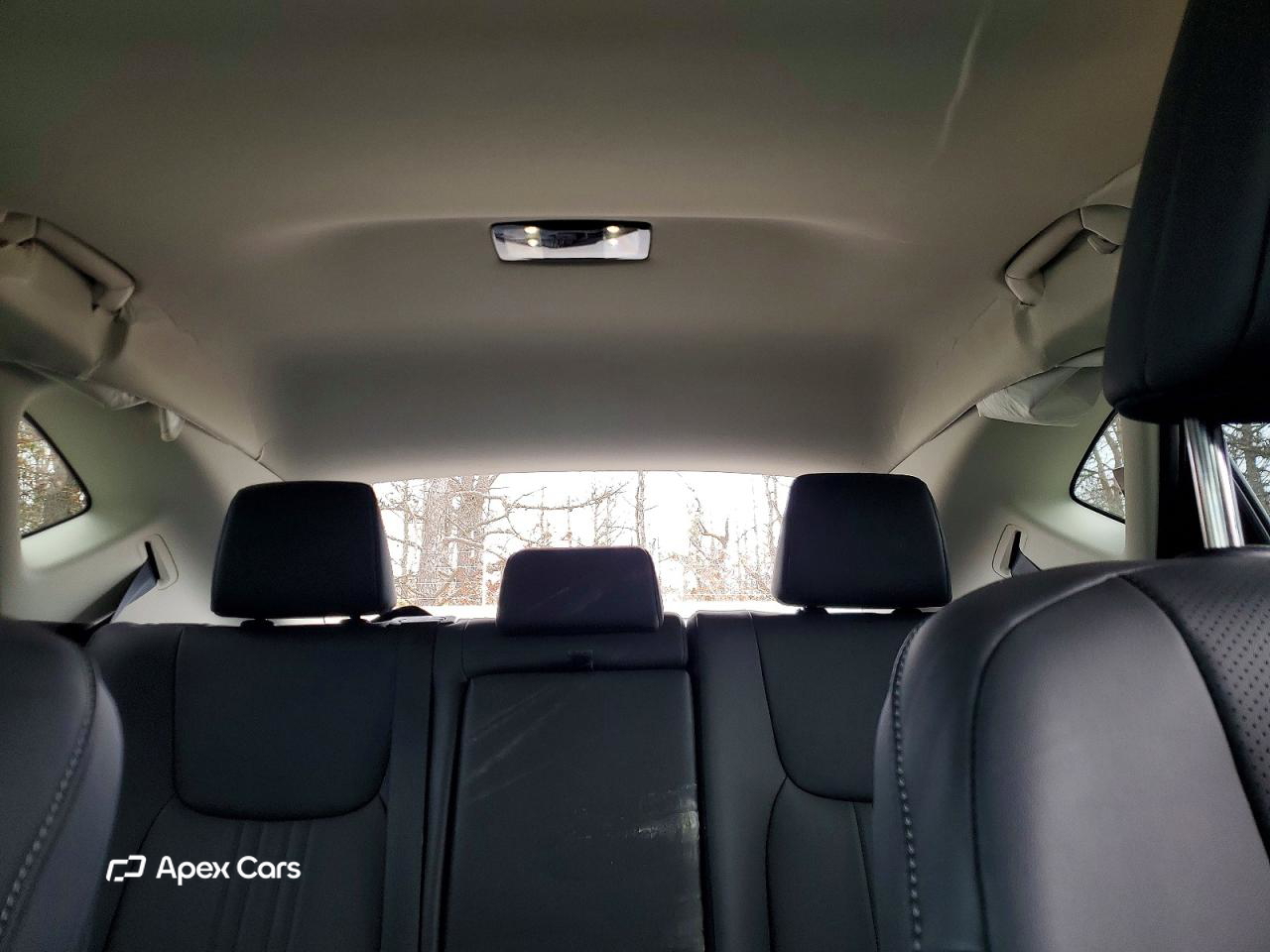 Lexus NX 2024