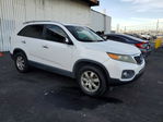 Kia Sorento 2011