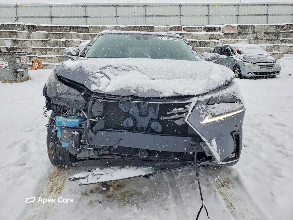 Lexus NX 2021