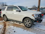 Ford Expedition 2021