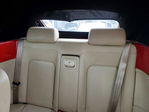 Volkswagen Beetle 2009
