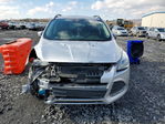 Ford Escape 2016