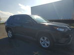 Toyota RAV 4 2021
