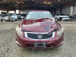 Honda Accord 2010