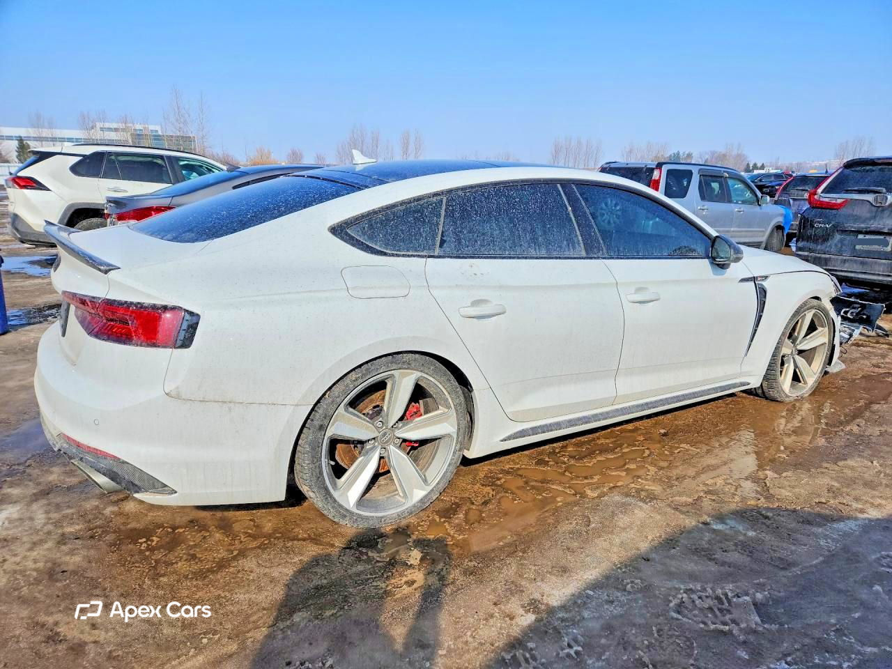 Audi RS5 2019