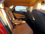 Lexus NX 2024