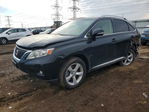 Lexus RX 2010