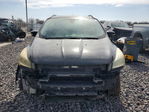 Ford Escape 2016