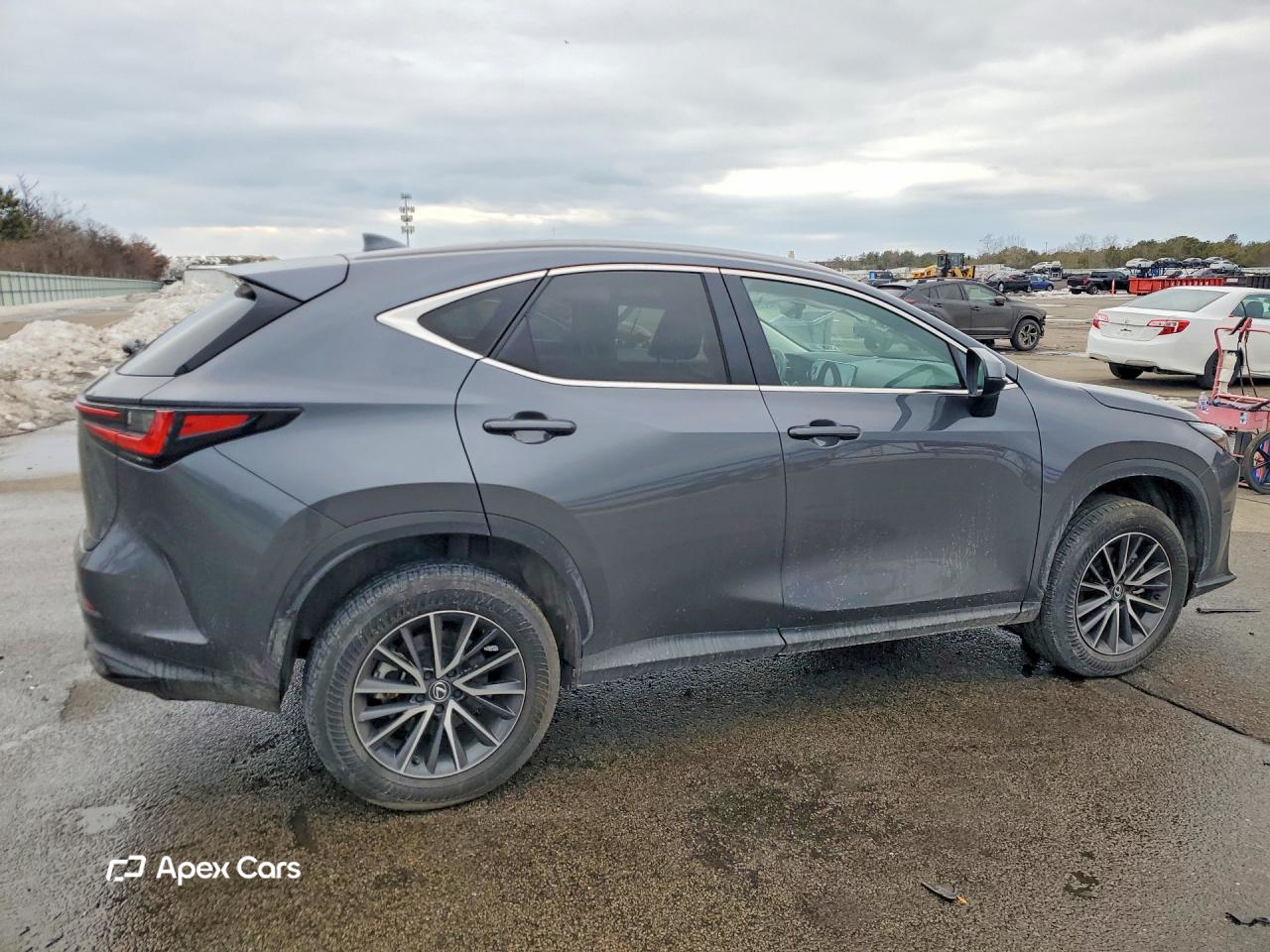 Lexus NX 2024