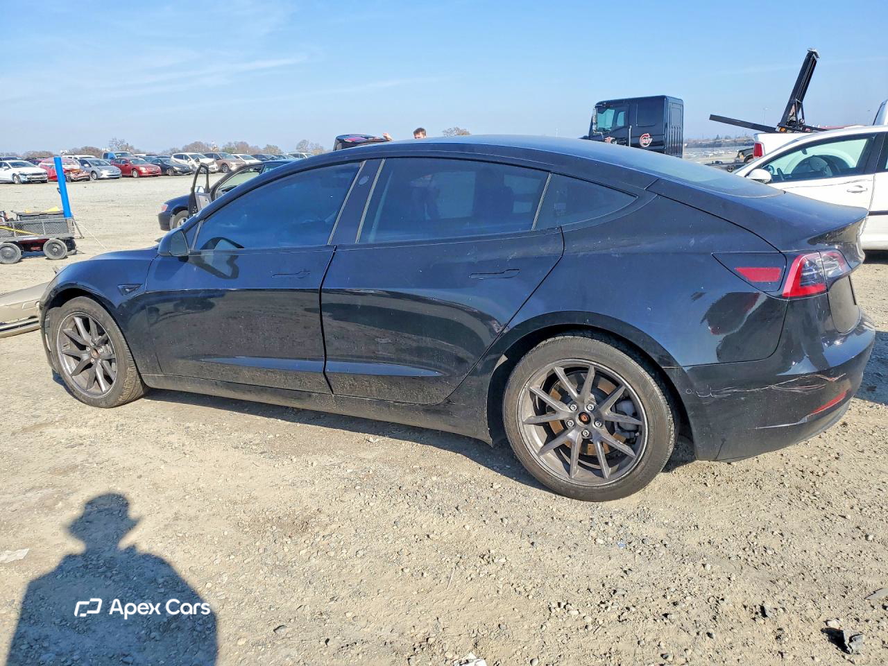 Tesla Model 3 2021