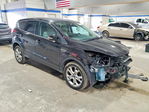 Ford Escape 2013