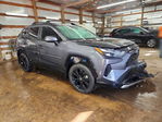 Toyota RAV 4 2024