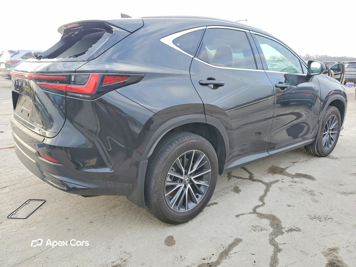 Lexus NX 2024