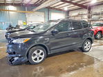 Ford Escape 2013