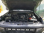 Ford Bronco 2024