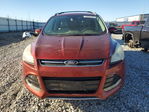 Ford Escape 2014