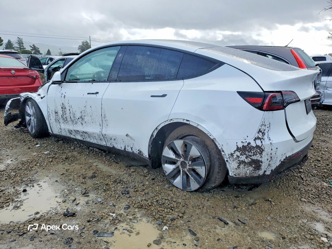 Tesla Model Y 2024