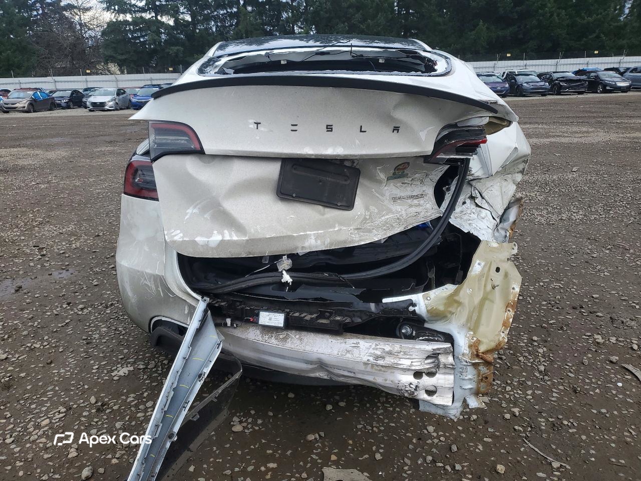 Tesla Model Y 2023