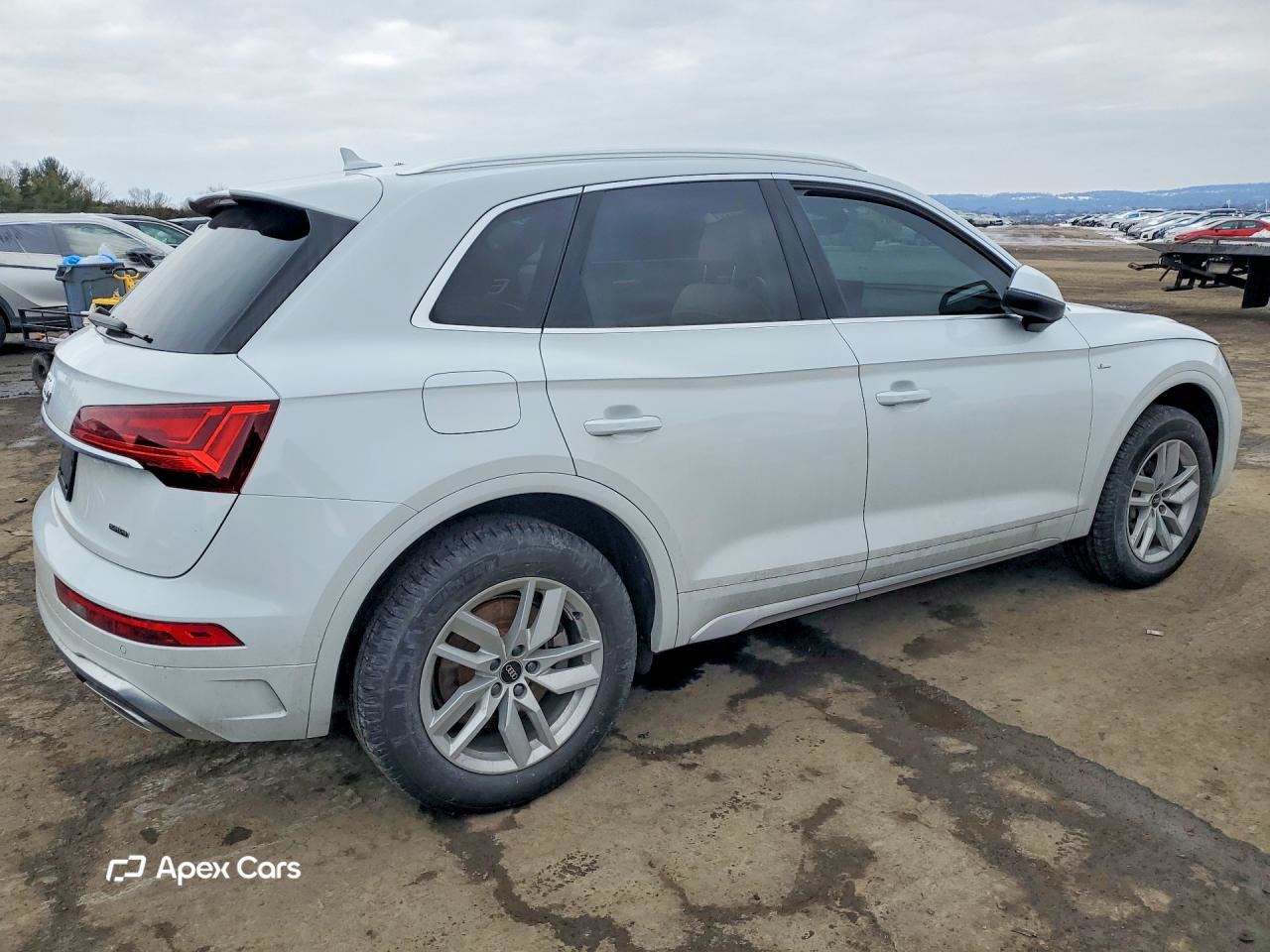 Audi Q5 2023